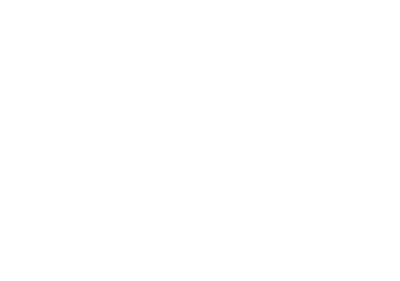 Live In Wonder